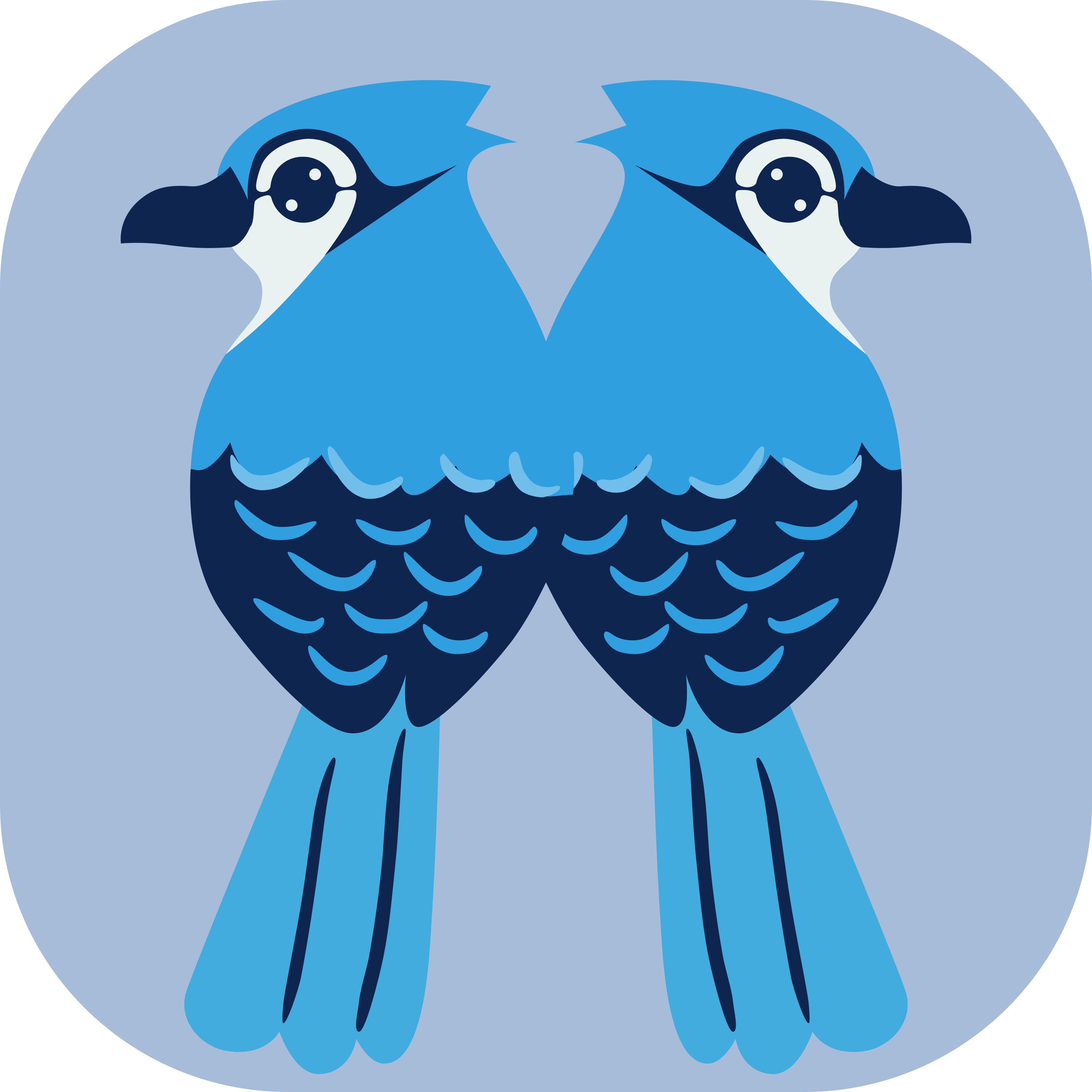 Image of My Experience Adopting Jujutsu Version Control System